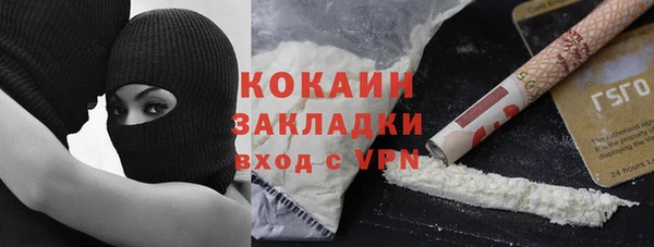 шишки Абинск
