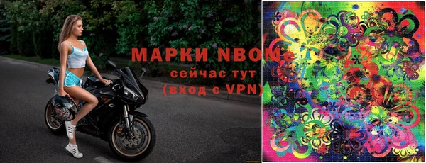 шишки Абинск