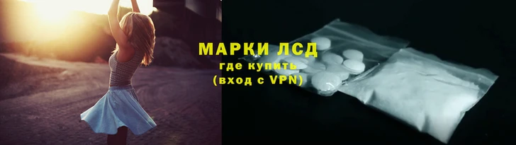 шишки Абинск