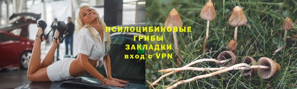 шишки Абинск