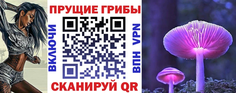 Галлюциногенные грибы Psilocybe  Собинка 